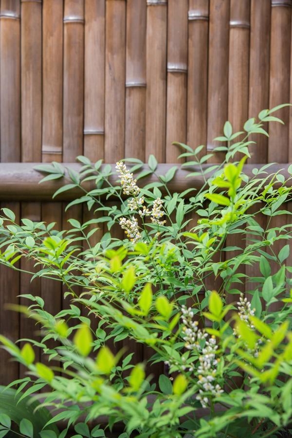 Kyoto Stay Temari Exteriér fotografie